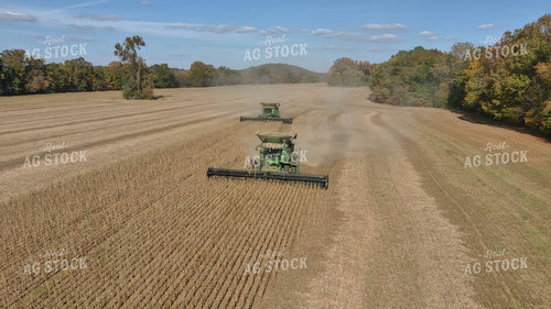 Soybean Harvest 79167