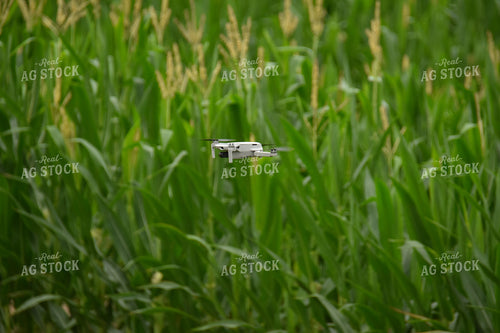 Drone Flying Over Field 84139