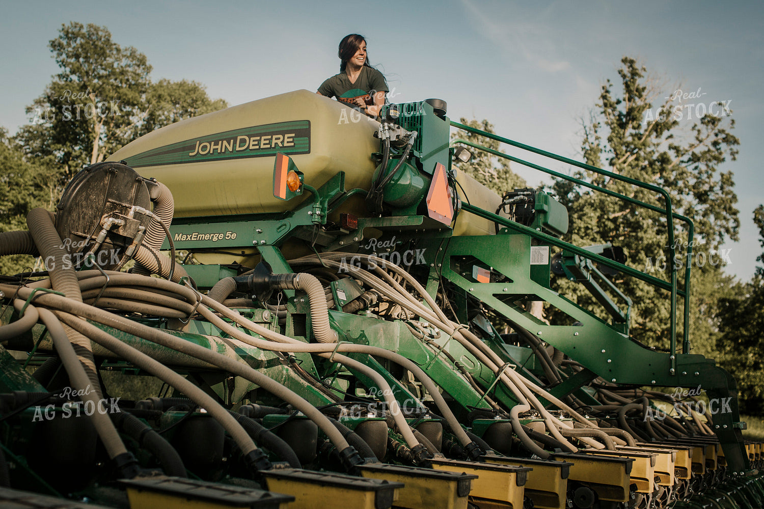 Planting 2778
