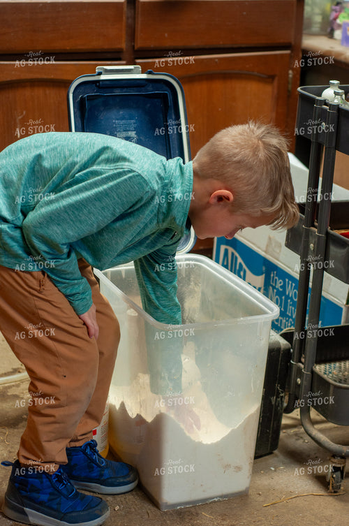 Farm Kid Mixing Milk for Lambs 103100