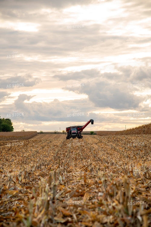 Grain Cart Driving through Corn Field 25570