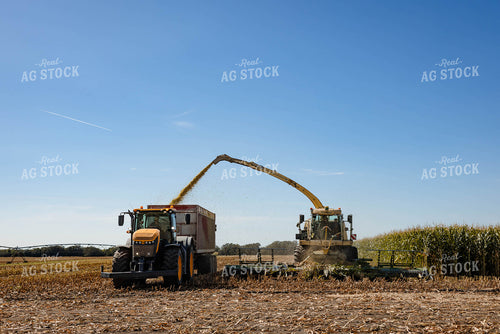 Silage Harvest 152293