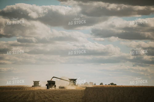 Soybean Harvest 6861