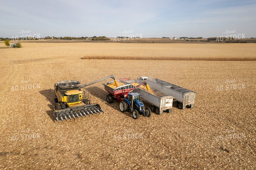 Corn Harvest 255011