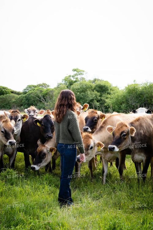 Female Farmer in Pasture with Jersey Cattle 181025
