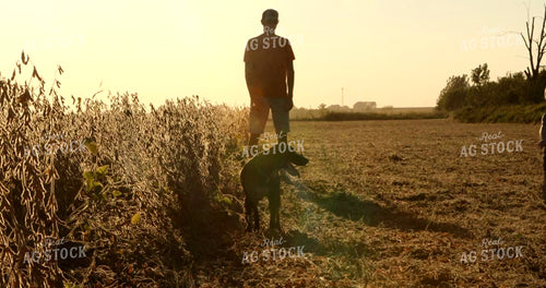 Farmer and Farm Kid Walking Along Soybean Field with Farm Dog 5388