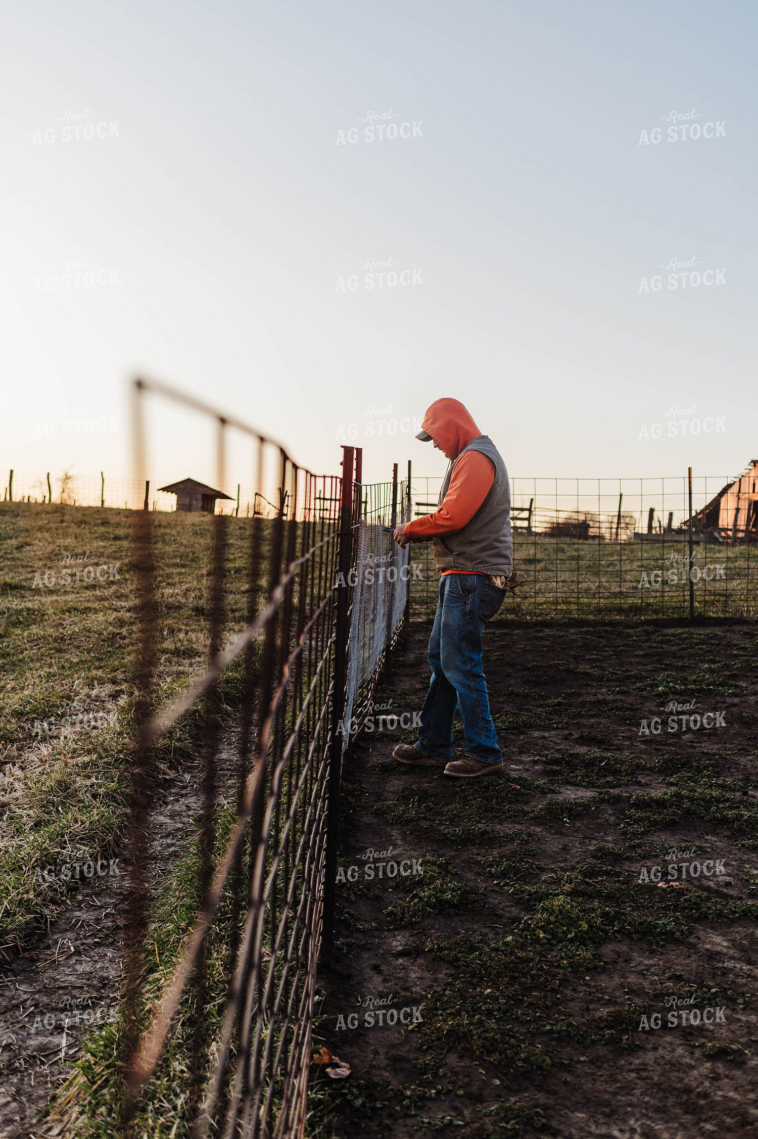 Farmer Fixing Fence 115140