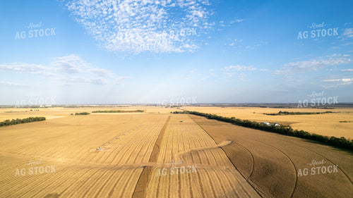Aerial of Harvest 65966