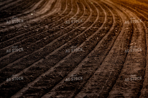 Freshly Planted Soil 185207