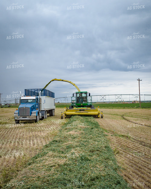 Making Haylage 56423