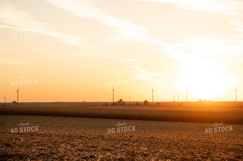 Sunset over Partially Harvested Corn Field 25848
