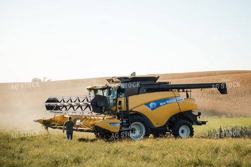 Soybean Harvest 215089