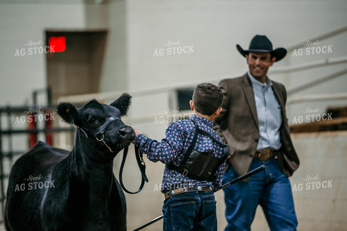 Farm Kid Showing Cow 98033