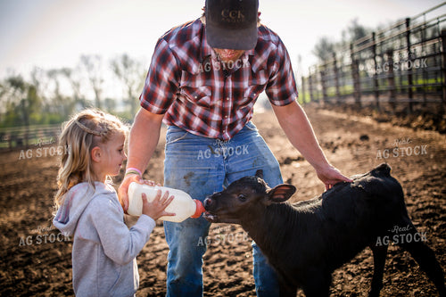 Rancher and Daughter Feeding Calf 285037