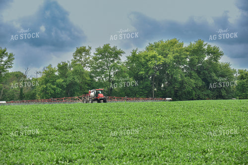 Spraying Soybeans 84117