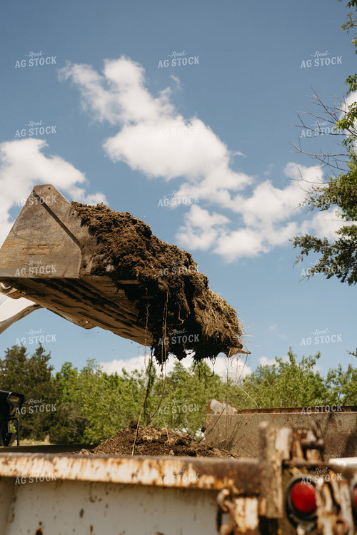 Loading Compost in Pasture 125314