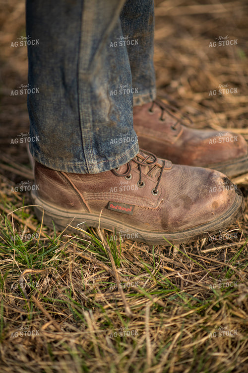 Boots 76638