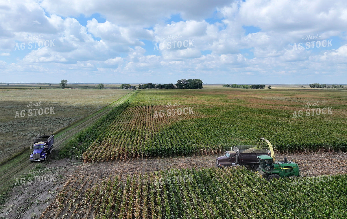 Aerial of Cutting Corn Silage 141736