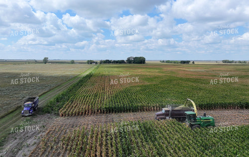 Aerial of Cutting Corn Silage 141736