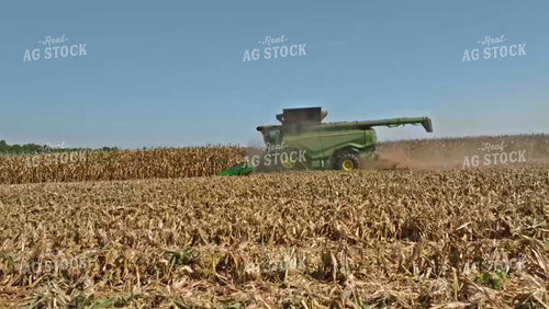 Corn Harvest 92075