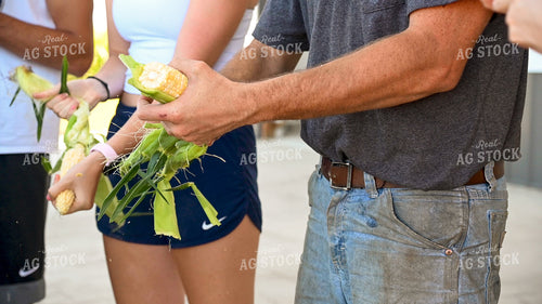 Family Shucking Sweet Corn 25244