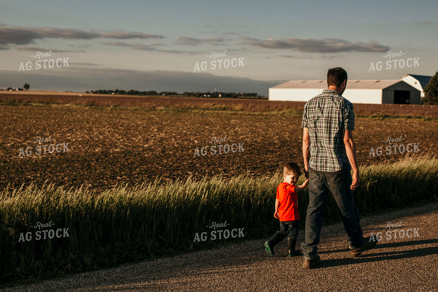 Farmer 2916