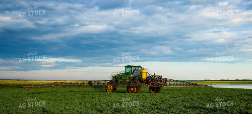 Spraying Soybeans 72003