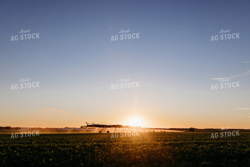 Irrigated Field 152197
