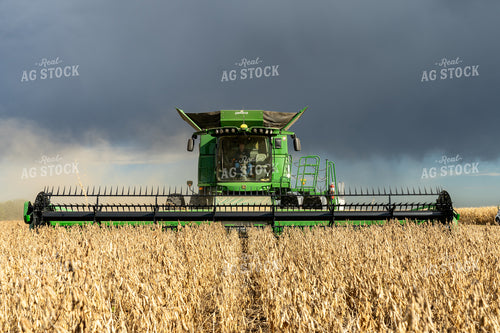 Soybean Harvest 65093
