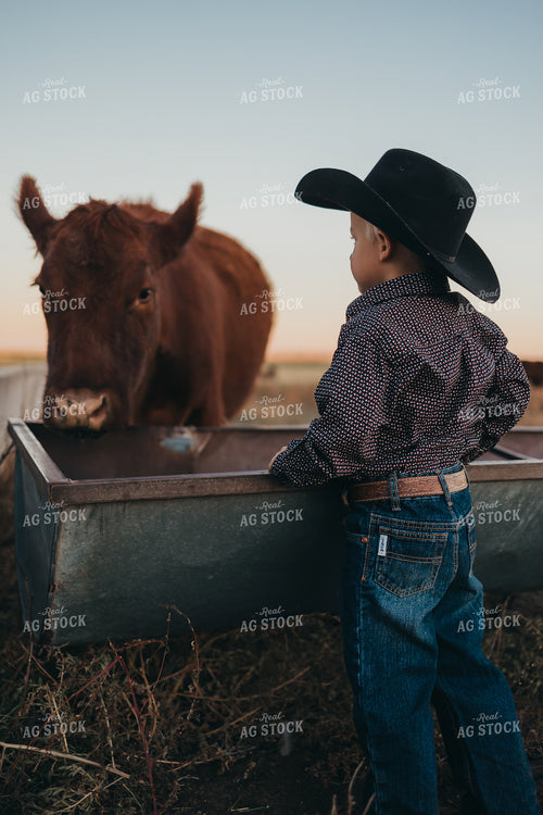 Farm Kid With Cow 61133