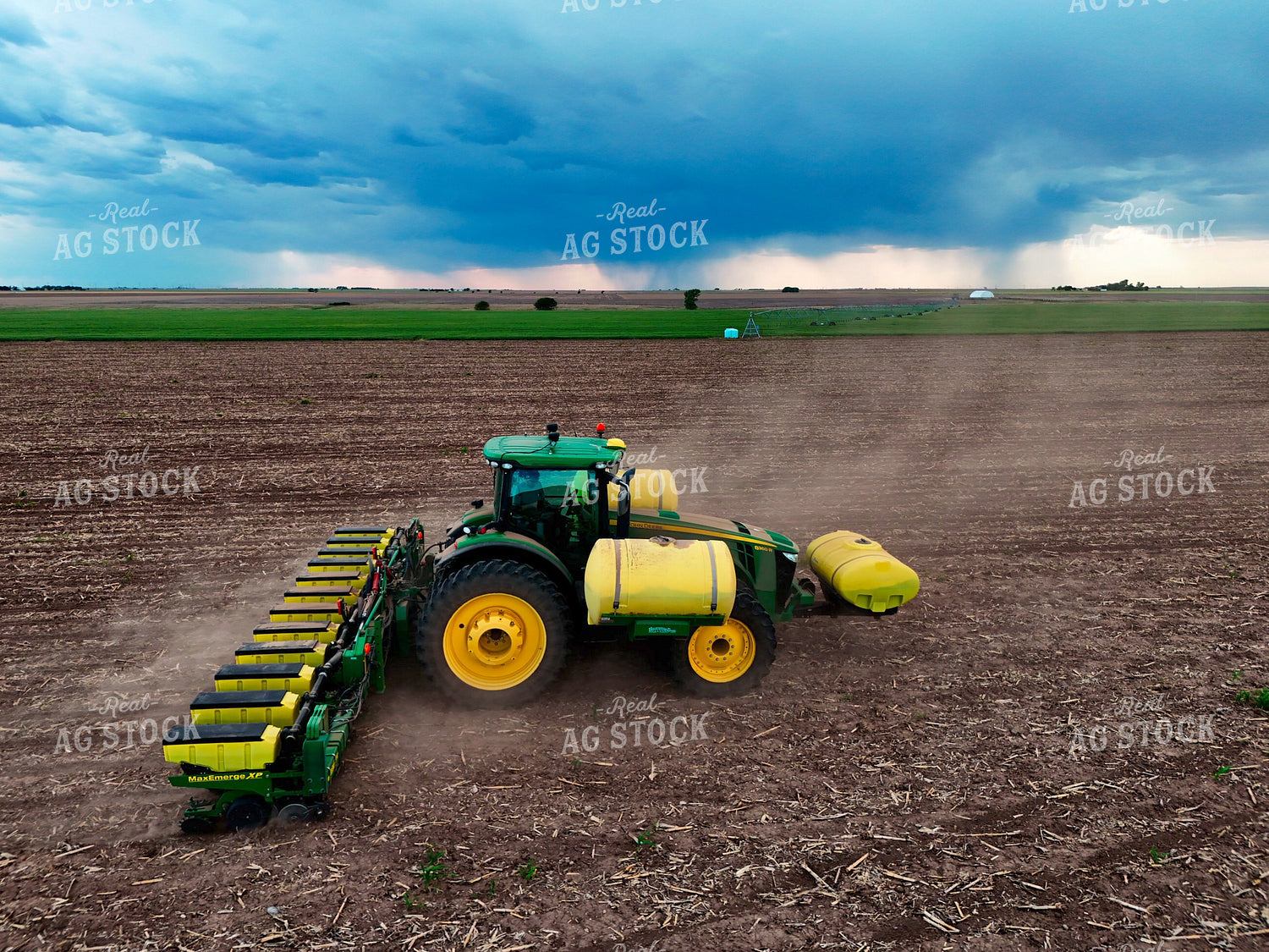 Planting 239589