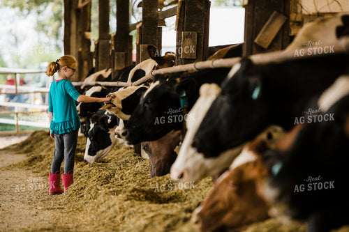 Dairy 2692