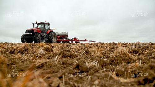 Planting into Tilled Cover Crops 25139