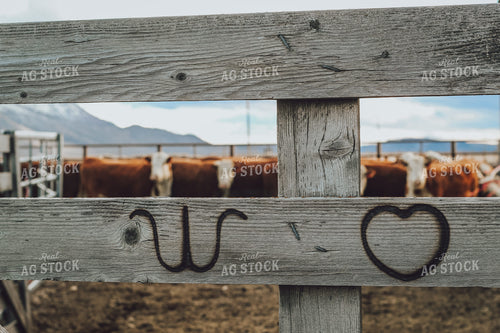 Branded Cattle Fence 78161