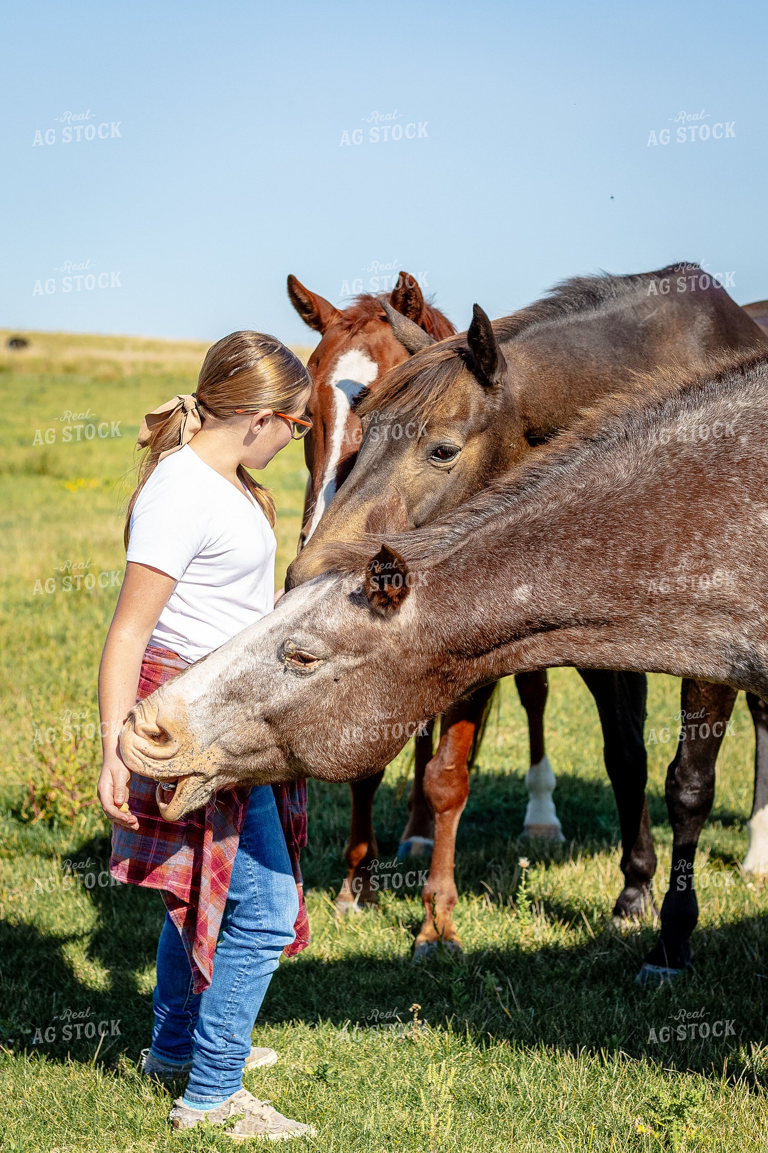 Farm Kid with Horses 155282