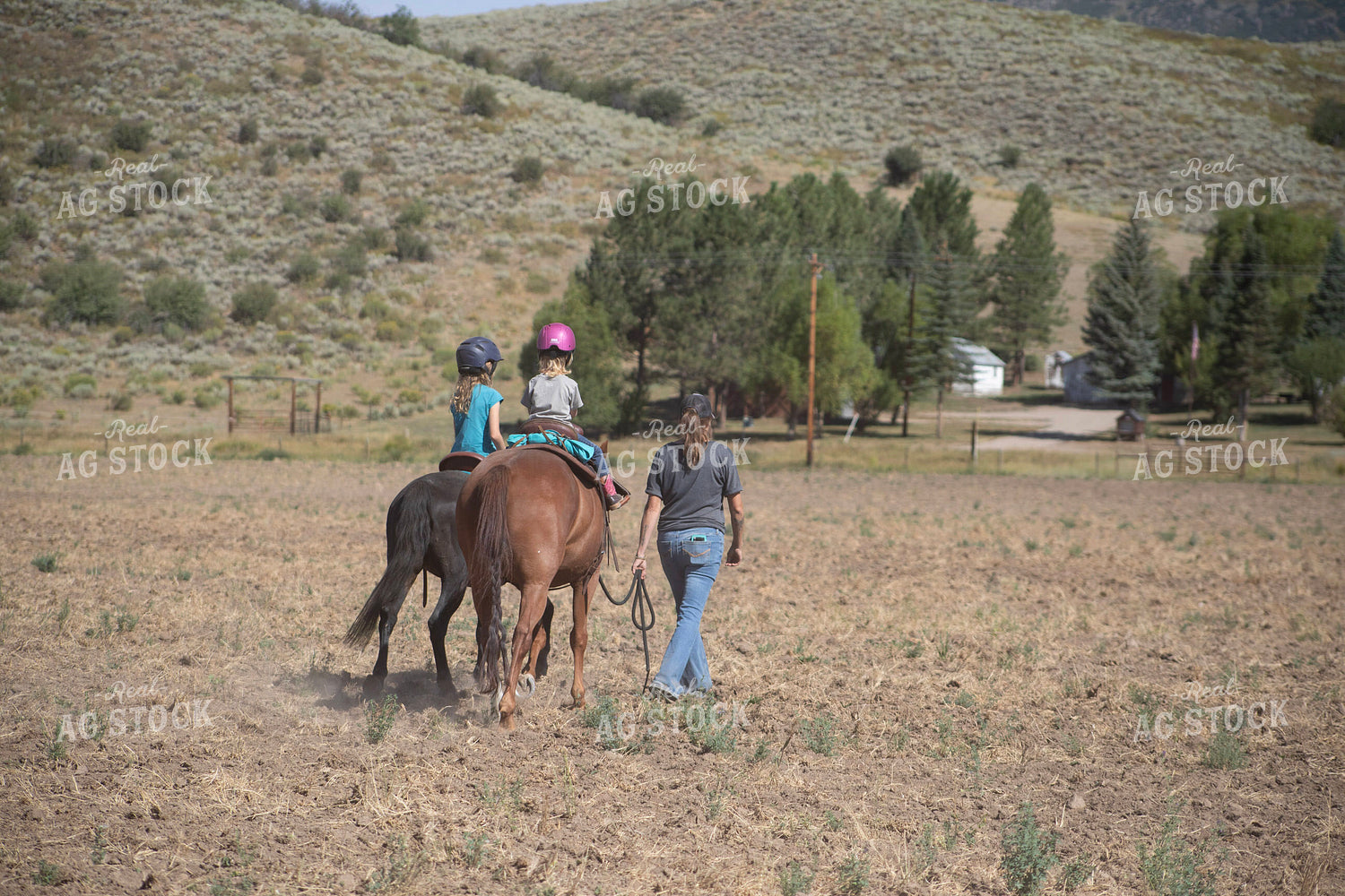 Ranch Kids Riding Horses 117436
