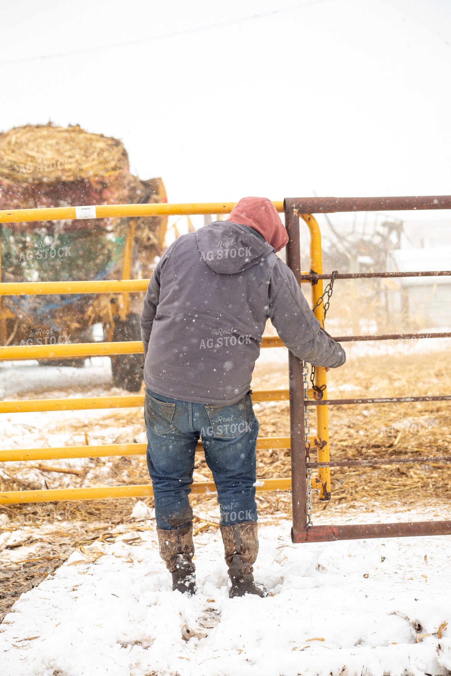 Farmer Closing Gate 155420