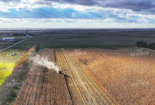 Corn Harvest 141492