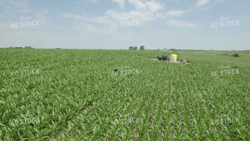 Farmer Walking Through Green Corn Field Aerial 114039