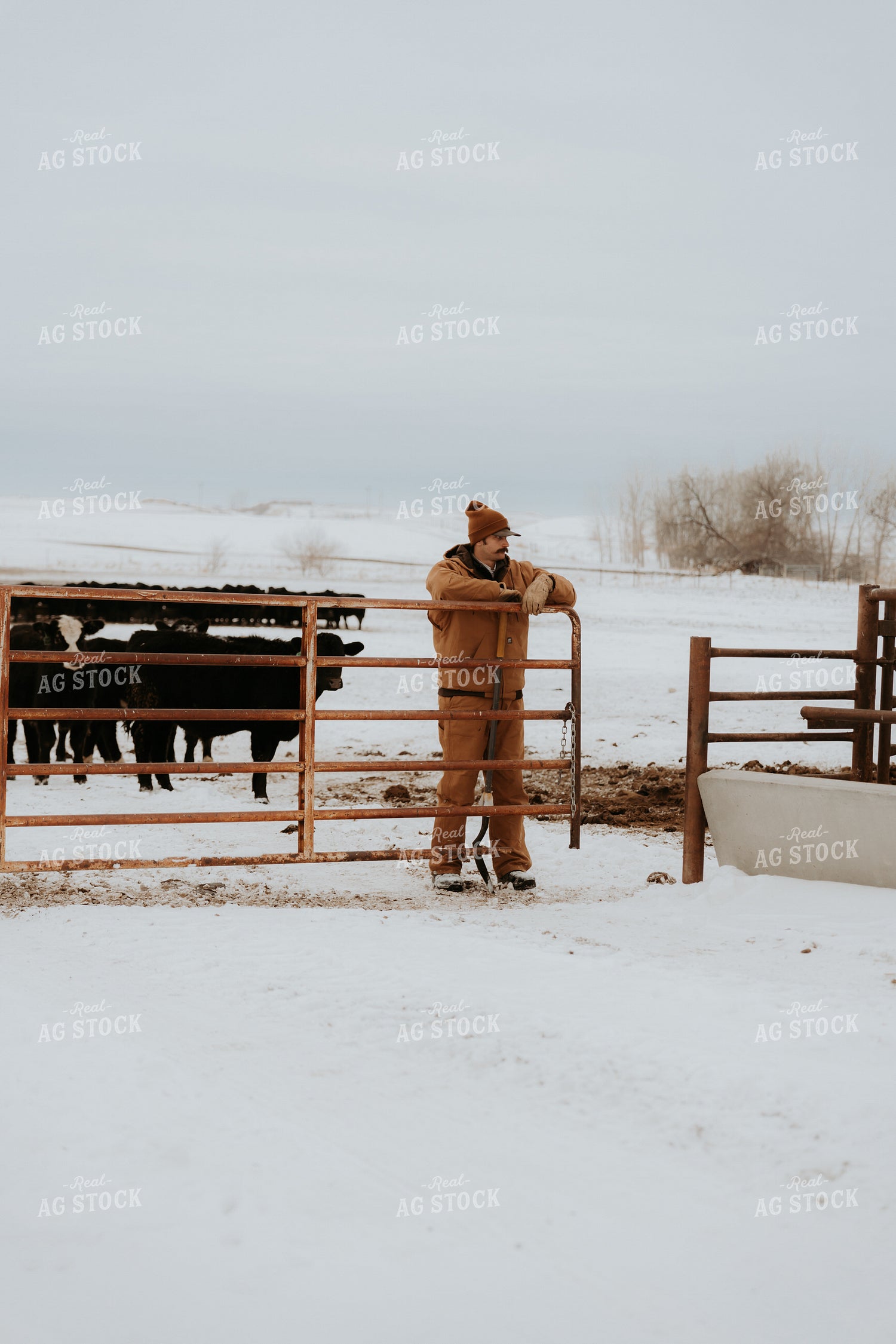 Rancher Closing Gate 61228