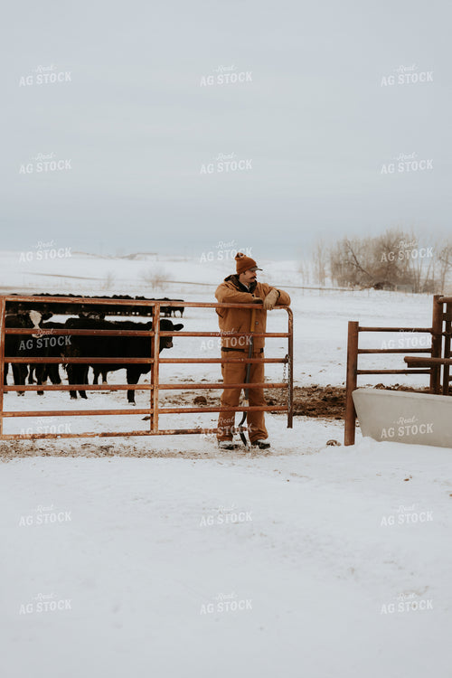 Rancher Closing Gate 61228