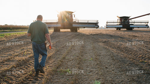 Farmer Walking in Field 26054