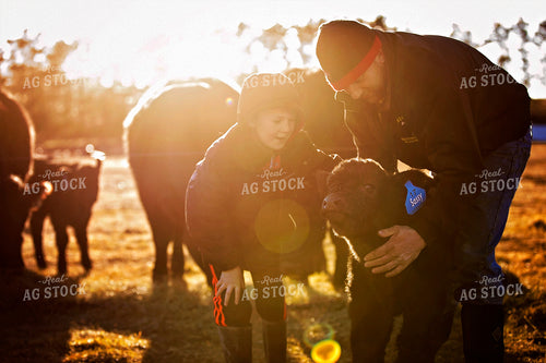 Farmer and Angus Calf 55139