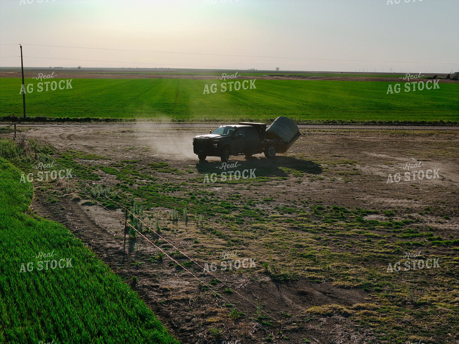 Bale Bed Pickup 239554