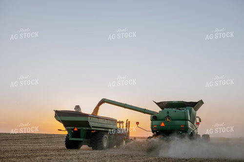 Soybean Harvest 77290