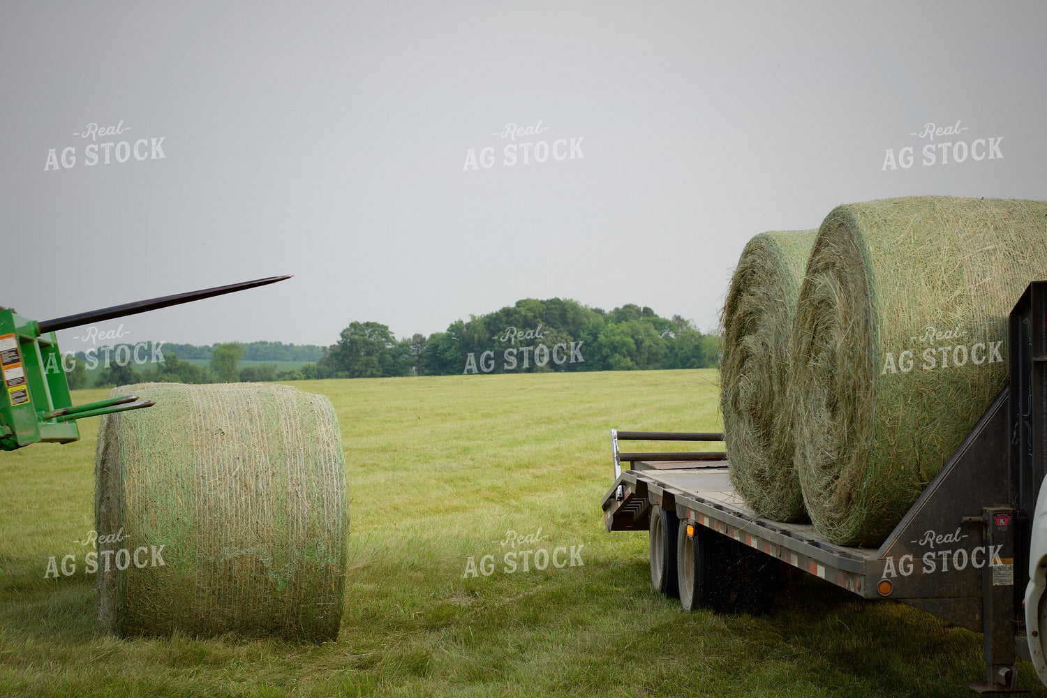 Putting Up Hay 251161
