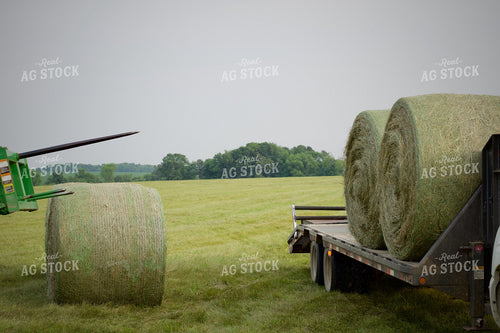 Putting Up Hay 251161