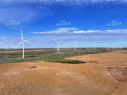 Scenic Corn Field 141070