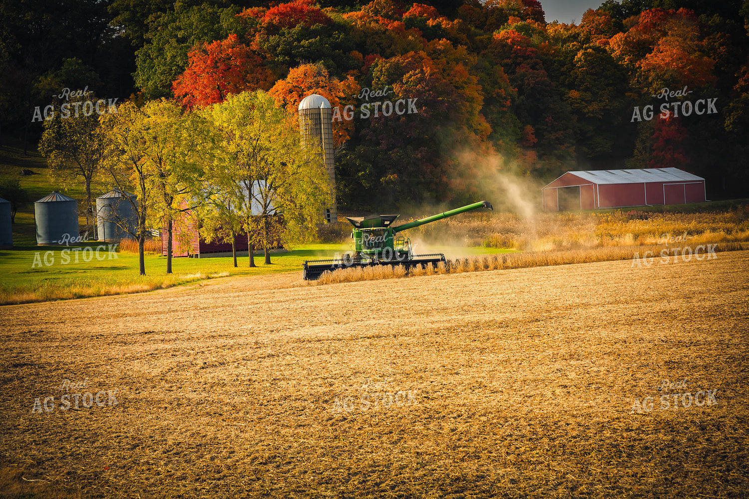Soybean Harvest 153028