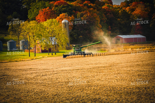 Soybean Harvest 153028